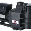 Hayward Hayward Superpool Zwembadpomp 230v 8m3