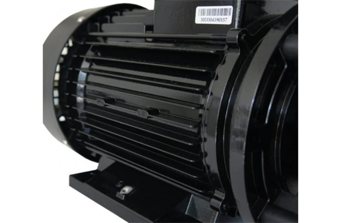 LX WP250-II Massage Pomp 2-spd 2,5hp 7 LX WP250-II Massage Pomp 2-spd 2,5hp - Afbeelding 5