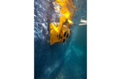 Maytronics Dolphin Dolphin Wave 100 Zwembadrobot 9 Maytronics Dolphin Dolphin Wave 100 Zwembadrobot -Zodiac Zwembaden Winkel maytronics dolphin dolphin wave 100 zwembadrobot 1
