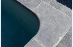 Terato Buitenhoek Asian Blue Afgeronde Neus -Zodiac Zwembaden Winkel terato buitenhoek asian blue afgeronde neus 3