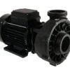 Waterway Waterway Viper 1-spd 5,0hp 56 Frame Spa Pomp 220V