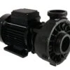 Waterway Waterway Viper 2-spd 5,0hp 56 Frame Spa Pomp 220V