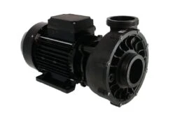 Waterway Waterway Viper 2-spd 5,0hp 56 Frame Spa Pomp 220V